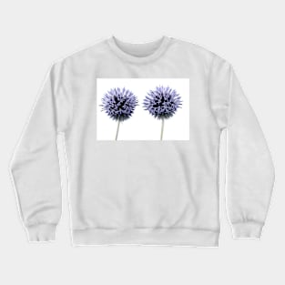 Echinops Crewneck Sweatshirt